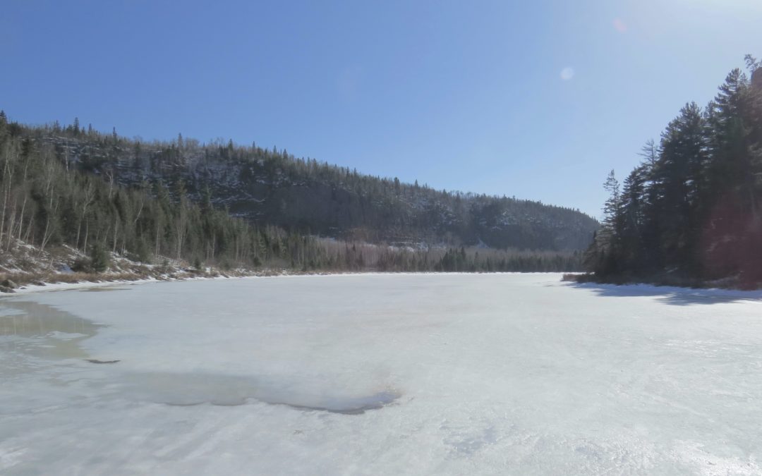 An Adaptable Aspirator for All Seasons