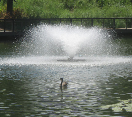 Font’N-Aire Platinum - Air-O-Lator - Pond Aeration & Maintenance Products