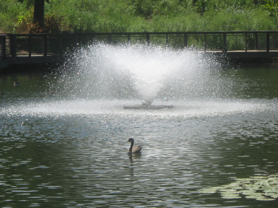 Feature - Air-O-Lator - Pond Aeration & Maintenance Products