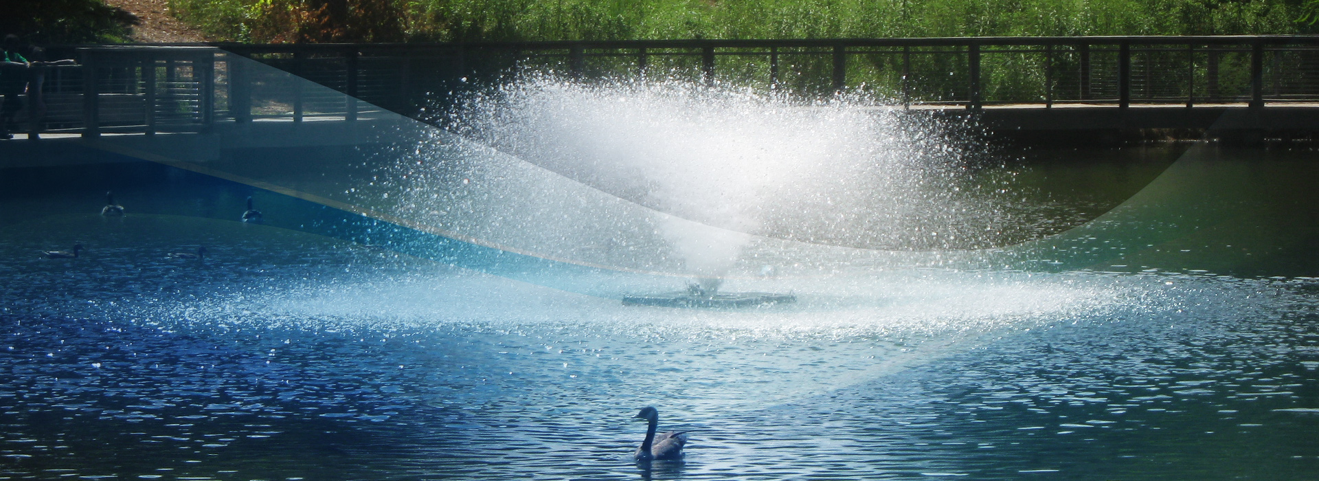 AirOLator Solar Pond Aerators Aerating Fountain