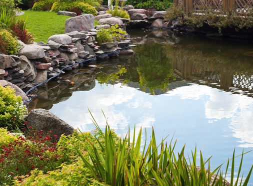 Proper Fish Maintenance for Small Ponds - Air-O-Lator - Pond Aeration & Maintenance Products