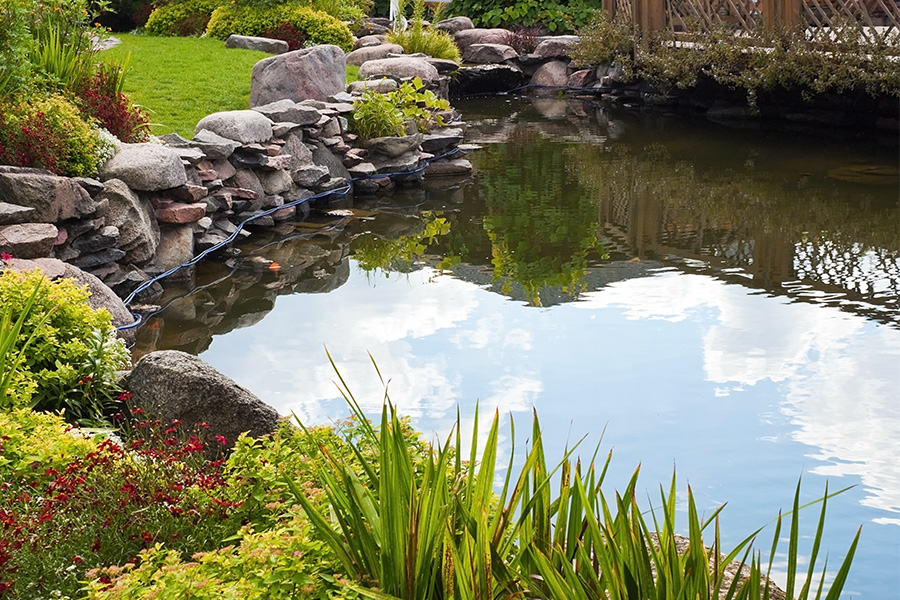 Why Should I Keep Leaves Out of My Pond? - Air-O-Lator - Pond Aeration & Maintenance Products