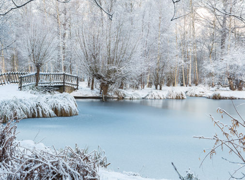 How to Avoid a Winter Fish Kill? - Air-O-Lator - Pond Aeration & Maintenance Products