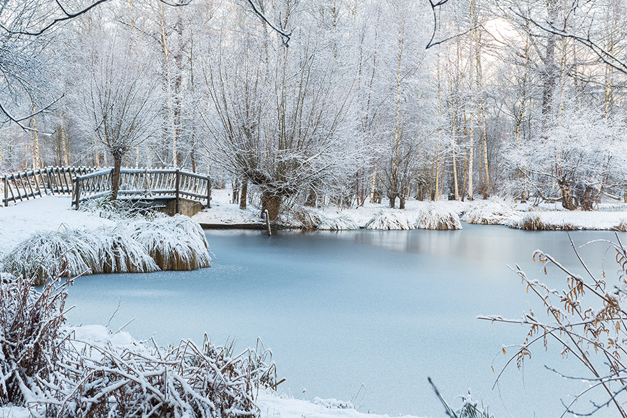 What to do With Your Pond During Freezing Temperatures - Air-O-Lator - Pond Aeration & Maintenance Products