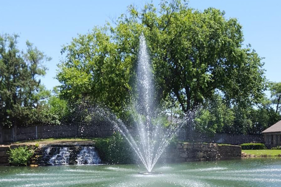 Revolutionize Your Pond Care: Embrace the Proactive Approach to Say Goodbye to Weeds and Algae - Air-O-Lator - Pond Aeration & Maintenance Products