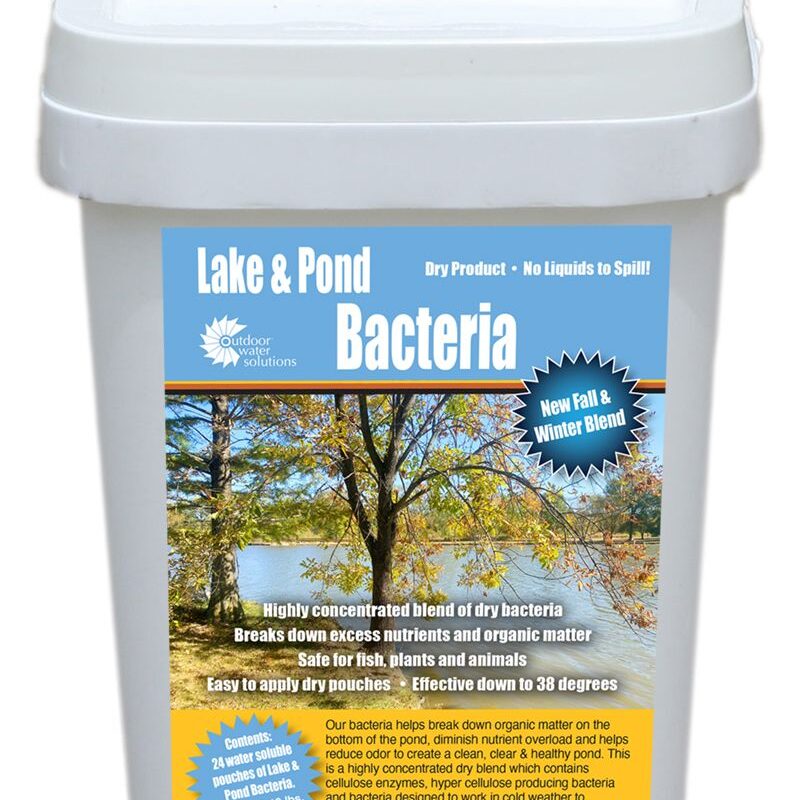 Bacteria Packs & Clarifiers for Ponds Pond Algae Treatment