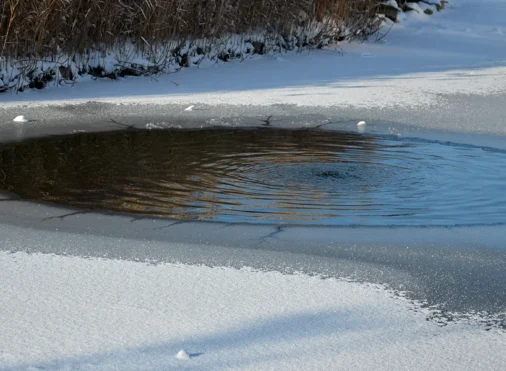 Pond Maintenance Strategies for Fish Survival This Winter - Air-O-Lator - Pond Aeration & Maintenance Products