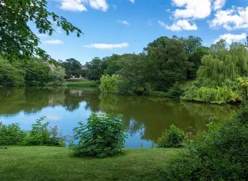 Choosing Between Solar and Electric Aerators: What’s Right for Your Industry - Air-O-Lator - Pond Aeration & Maintenance Products