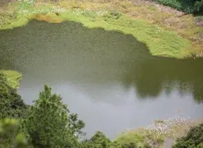 5 Water Treatment Solutions That Improve Quality and Reduce Costs - Air-O-Lator - Pond Aeration & Maintenance Products