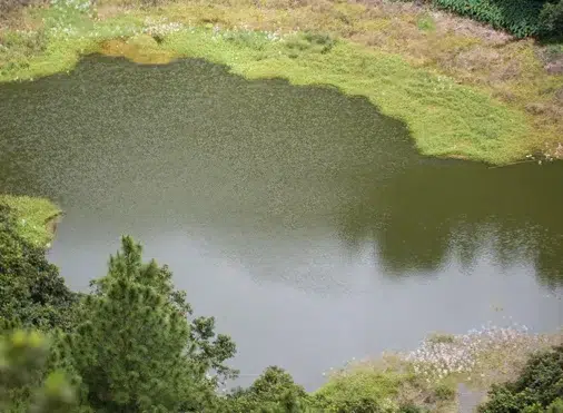 5 Water Treatment Solutions That Improve Quality and Reduce Costs - Air-O-Lator - Pond Aeration & Maintenance Products