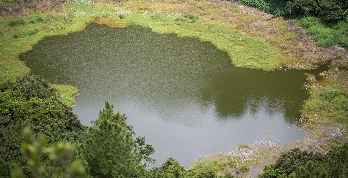 5 Water Treatment Solutions That Improve Quality and Reduce Costs - Air-O-Lator - Pond Aeration & Maintenance Products