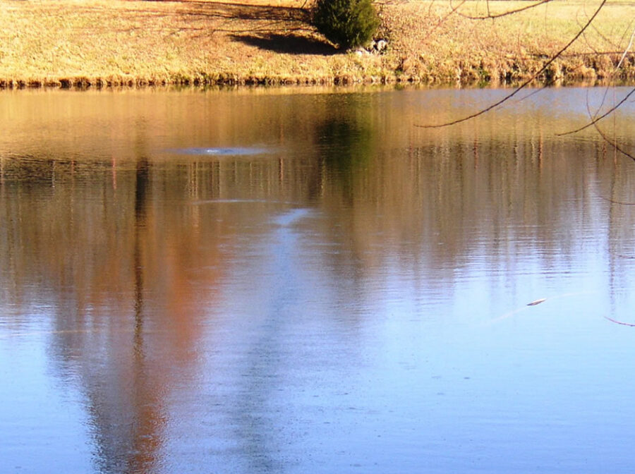 Aeration for Ponds Under 8 Feet Deep - Air-O-Lator - Pond Aeration & Maintenance Products
